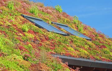 Carley Hill living roof systems